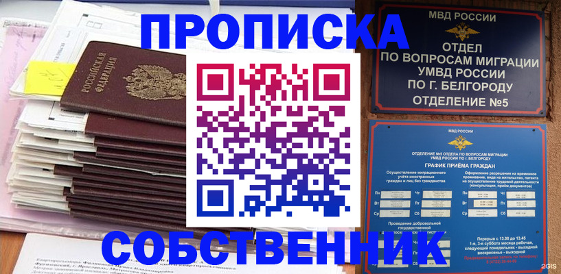 прописка законно в Мурманске